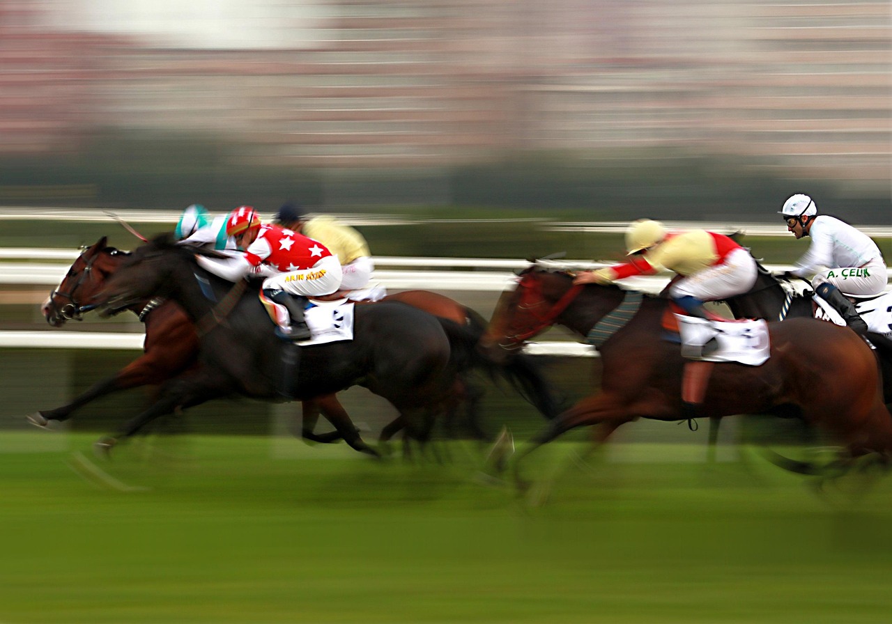 horse, horses, race horse, the competition, race, running, pan, competition, race horse, race horse, nature, race horse, race horse, race horse